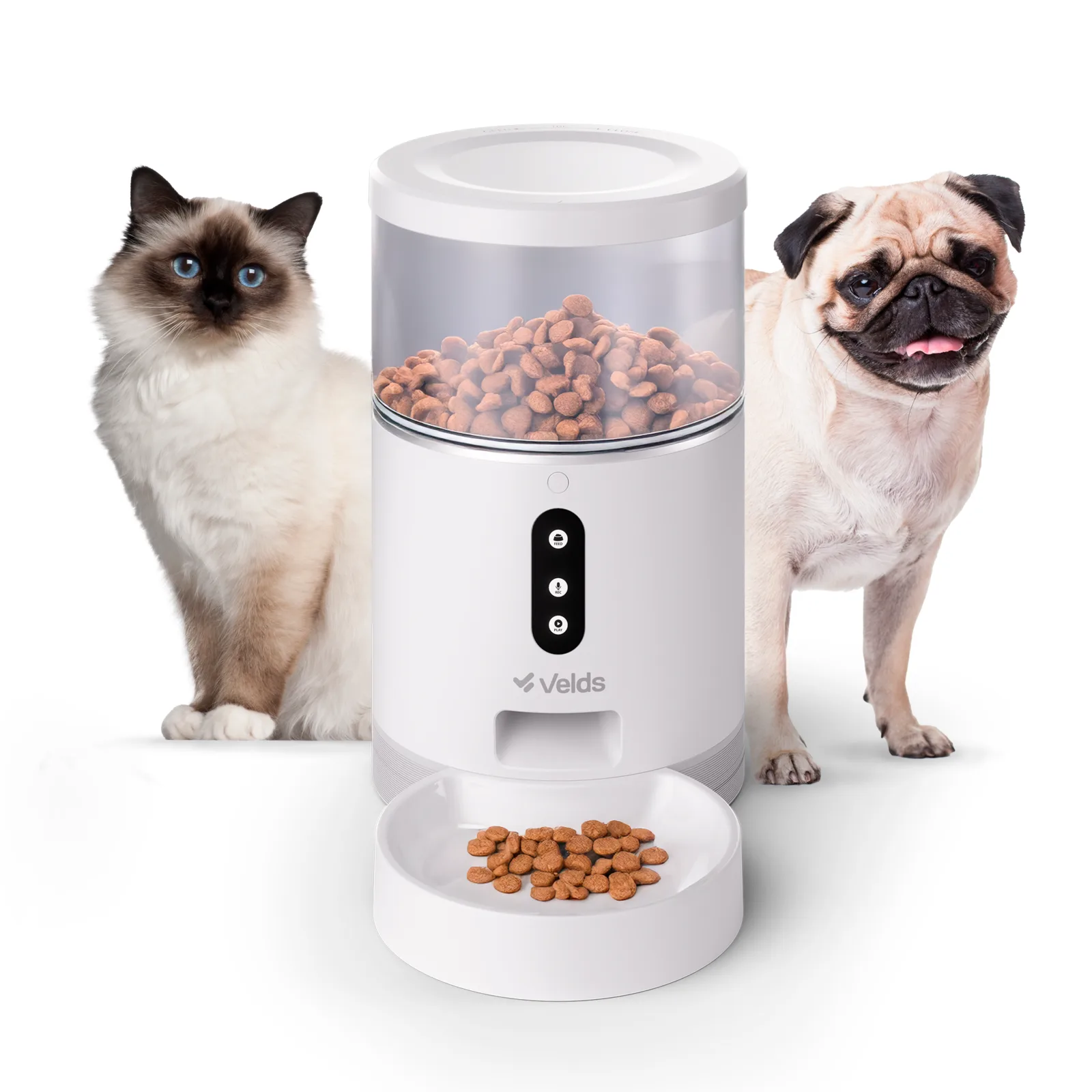 Alimentador Pet